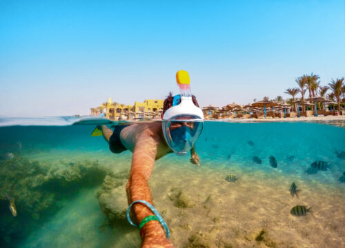 The Best Snorkeling and Diving Spots Near Hurghada: Red Sea Adventures with Gatto Marsa Alam Tours