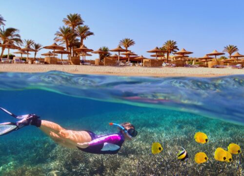 Top Private Excursions in Hurghada: Luxury, Adventure, and Safety with Gatto Marsa Alam Tours