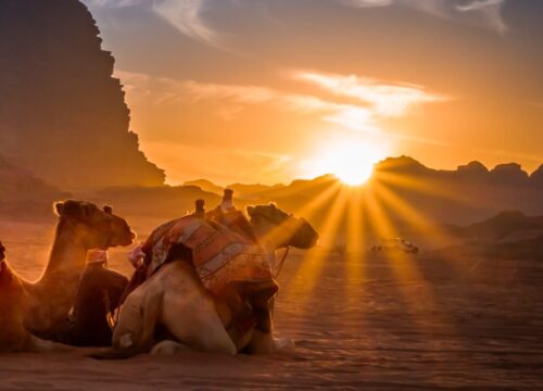 Super Safari Desert Adventure