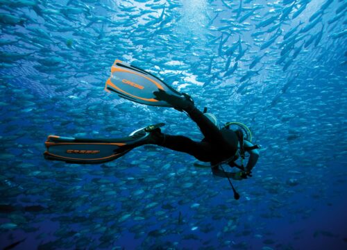Intro Diving Experience