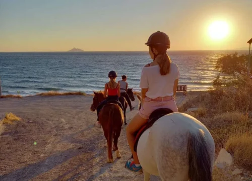 Sunset Camel & Horse Riding Tour