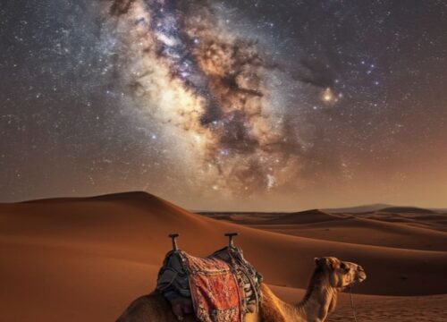 Stargazing Desert Safari